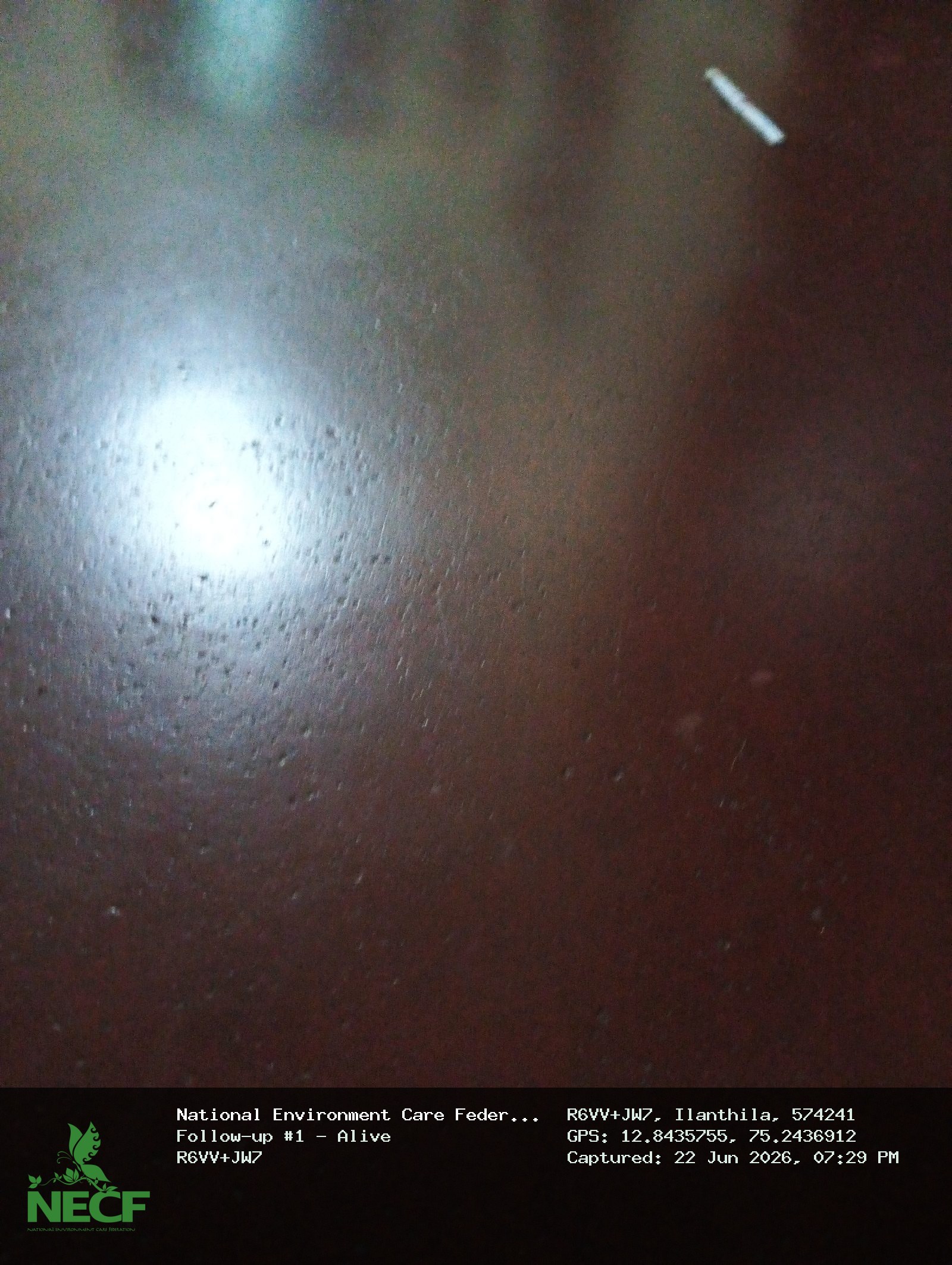 Follow-up photos