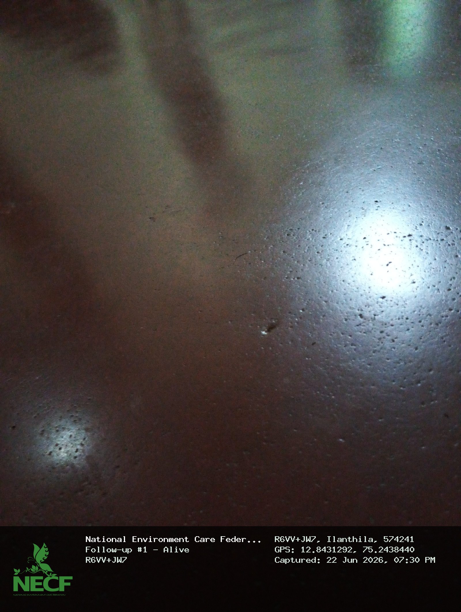 Follow-up photos 2